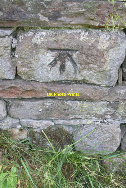 Photo 6"x4" Benchmark on wall at side entrance to 'Birkrigg' Garsdale\/SD7489 c2013