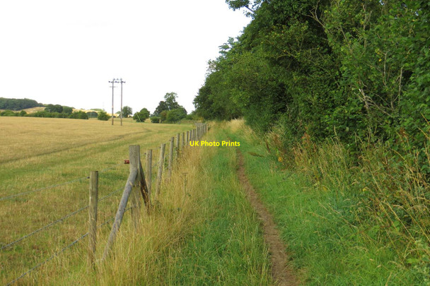 Photo 6"x4" Bridleway to Harcourt Hill Boars Hill c2013