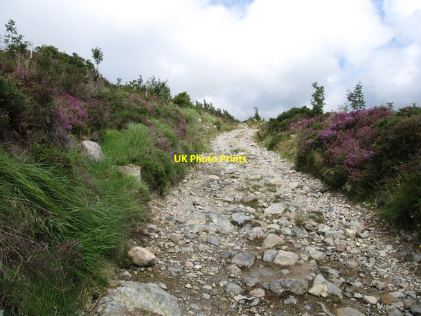 Photo 6"x4" Heather bordered Finlieve Track Attical c2013