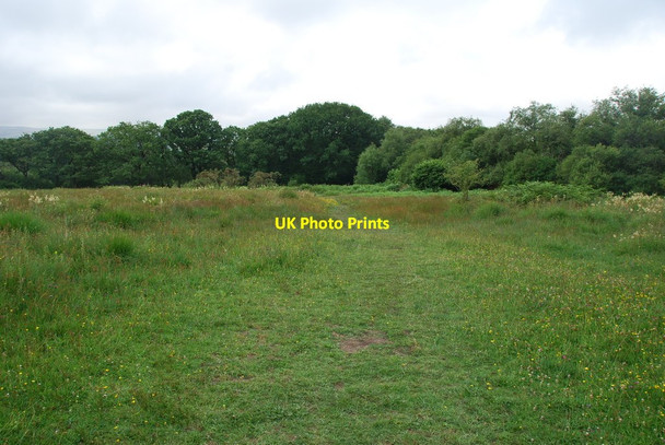 Photo 6"x4" Open heathland in Andrew's Wood Hazelwood\/SX7252 c2013