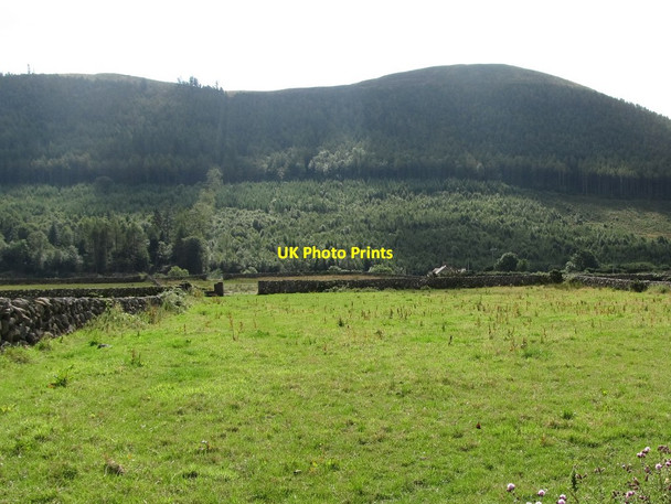Photo 6"x4" Grazing land east of Tullyframe Road Attical c2013