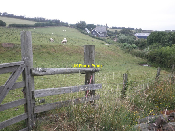 Photo 6"x4" Yearnor Farm Worthy\/SS8548 c2013