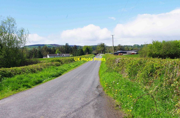Photo 6"x4" Minor road from Ardgregane to Newtown, Co. Tipperary Newtown\/R8080 c2013