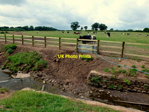Photo 6"x4" View over the Spring Brook Upper Bentley c2013