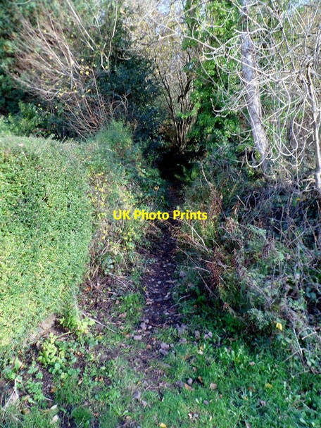 Photo 6"x4" Restricted byway near Orchard Cottage, Brockweir Brockweir c2011