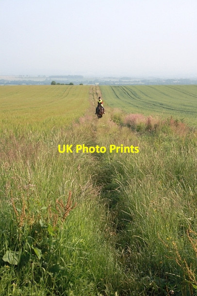 Photo 6"x4" Back Lane Slingsby c2013