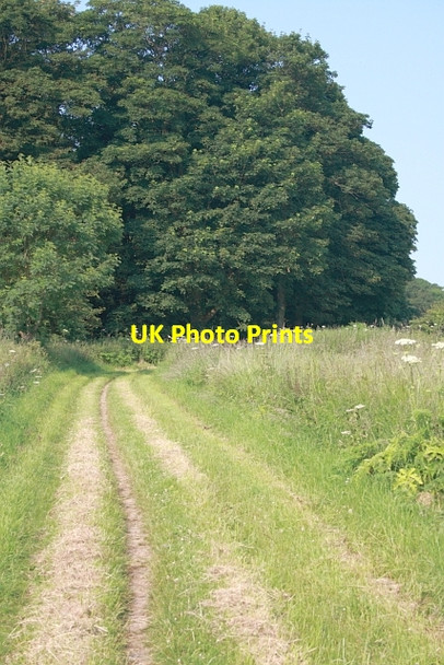 Photo 6"x4" Public Bridleway, Slingsby Bank Woods Barton-le-Street c2013