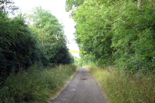 Photo 6"x4" Bridleway to Harcourt Hill Chawley c2013