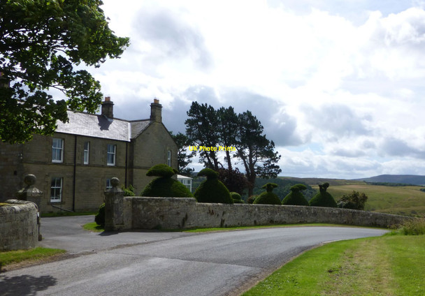 Photo 6"x4" Topiary at Cartington Cartington c2013
