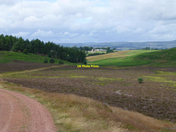 Photo 6"x4" Looking west from Crocky's Heugh Cartington c2013