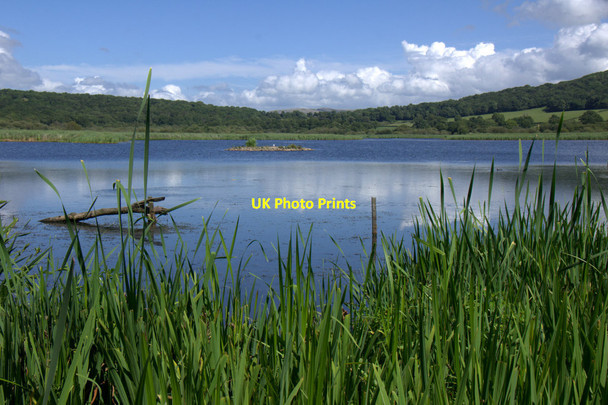 Photo 6"x4" View from the Public Hide at Leighton Moss Red Bridge c2013