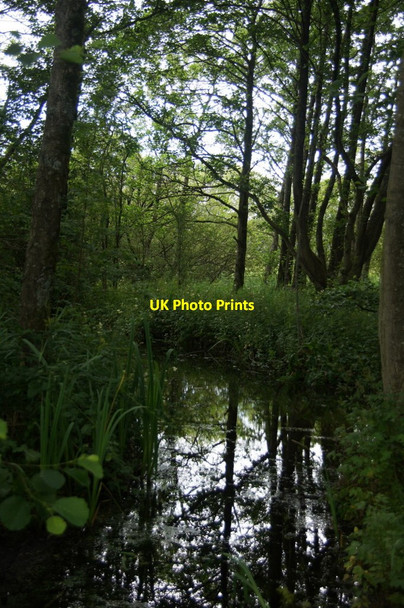 Photo 6"x4" Drain in the marsh at Leighton Moss Red Bridge c2013
