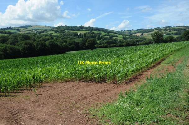 Photo 6"x4" View to Graig Syfyrddin Walson c2013