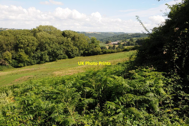 Photo 6"x4" Farmland on the Monnow Valley Walson c2013