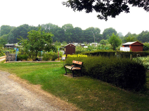 Photo 6"x4" Wingerworth village allotments Swathwick c2013