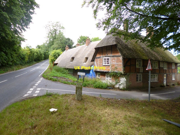 Photo 6"x4" Pitt, thatched cottages Pitt\/SU4528 c2013