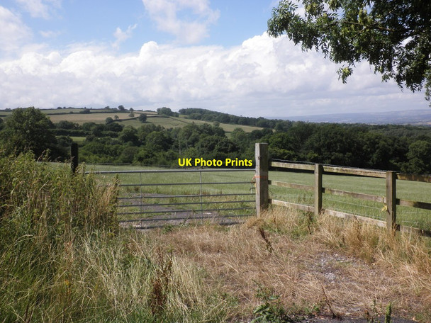 Photo 6"x4" Devil Pits Farm Feltham\/ST2317 c2013