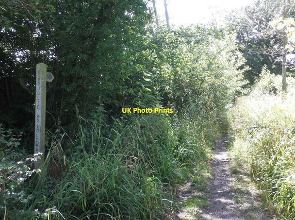 Photo 6"x4" Bridleway to Stoke St Mary Ash\/ST2822 c2013