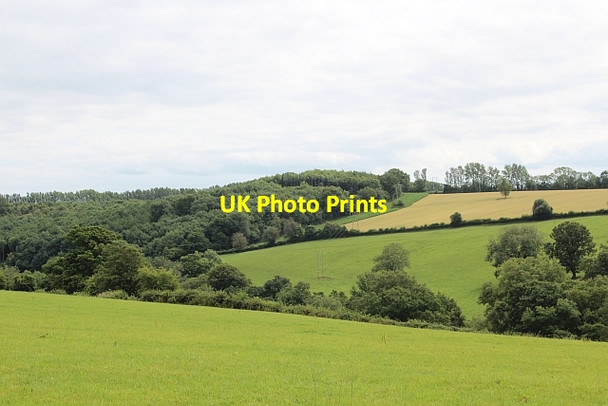 Photo 6"x4" Herefordshire pasture, Stanford Bishop Acton Beauchamp c2013