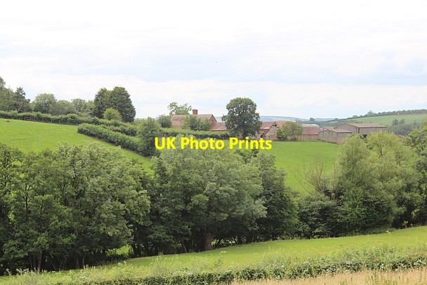 Photo 6"x4" Dovehills Farm, Bishops Frome Acton Beauchamp c2013