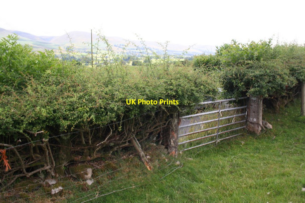 Photo 6"x4" Field gateway south of Drybeck Middleton\/SD6286 c2013