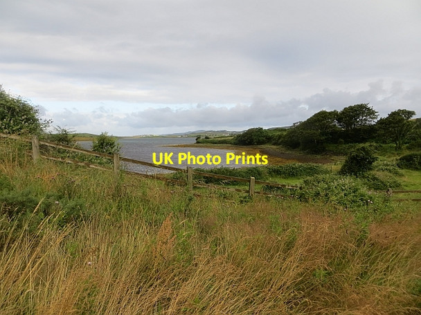 Photo 6"x4" Coastal pasture Milltown\/C1738 c2013