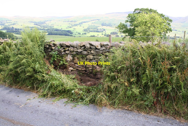 Photo 6"x4" Dry stone wall beside road south of Egholme Farm Middleton\/SD6286 c2013