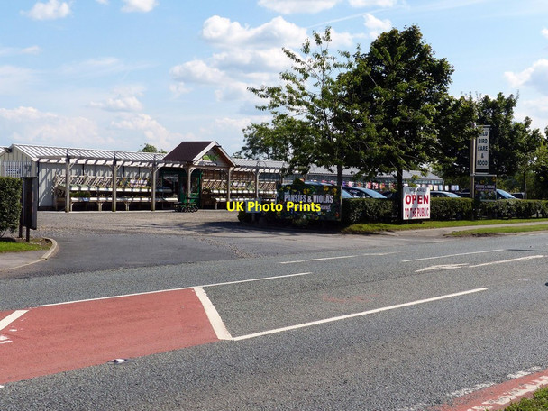 Photo 6"x4" Emberleys Plant Nurseries on the A59 Goose Green\/SD4722 c2013