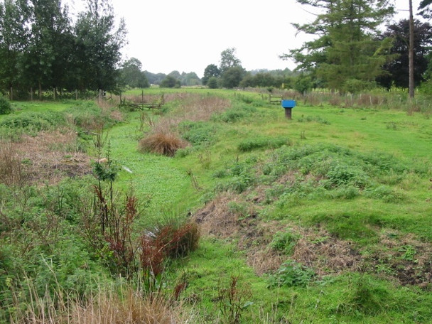 Photo 6"x4" Course of the river Nailbourne Ottinge c2008