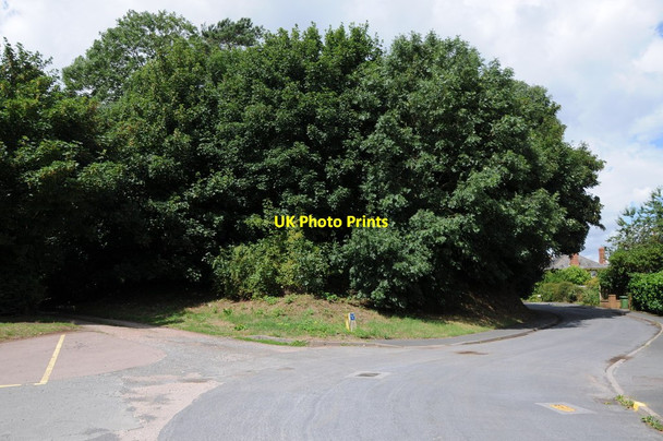 Photo 6"x4" Motte at St Weonards St Weonards c2013