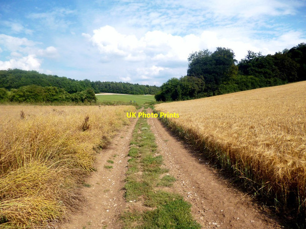 Photo 6"x4" Farm Track & Footpath, Ashampstead Ashampstead c2013