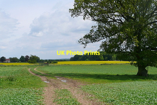 Photo 6"x4" Path towards Rotten Row Hambleden c2013