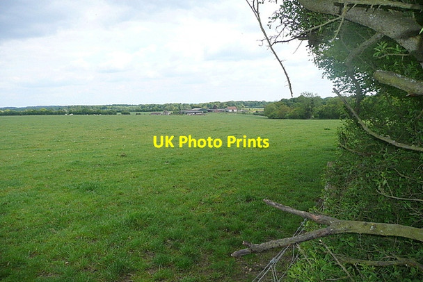 Photo 6"x4" Grassland at Rotten Row Hambleden c2013