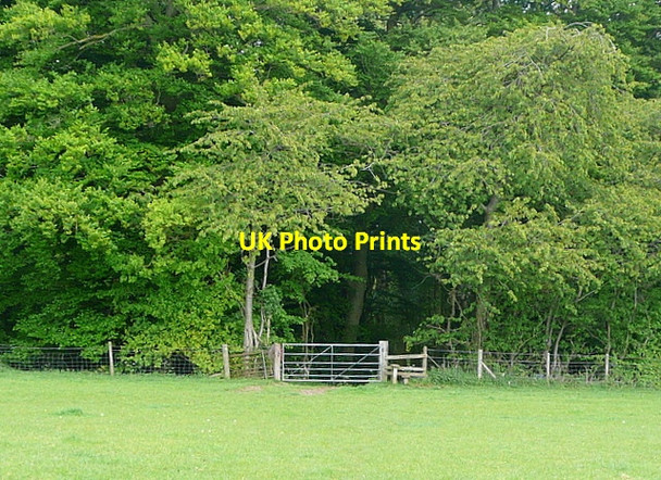 Photo 6"x4" On Shakespeare's Way Bockmer End c2013