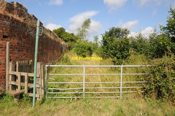 Photo 6"x4" Footpath through recently planted wood Earl's Croome c2013