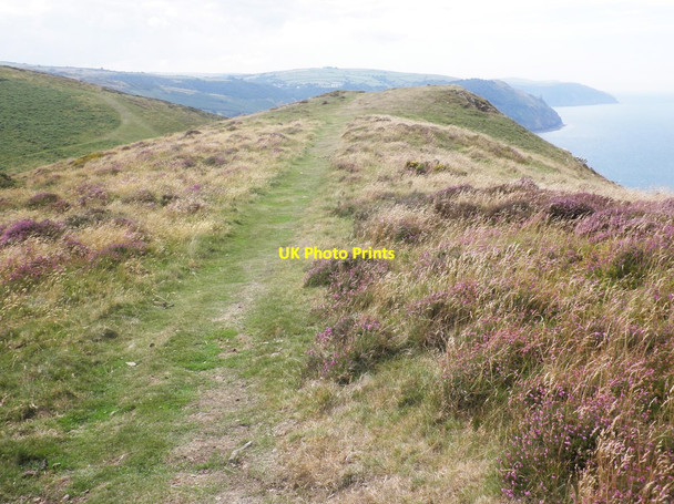 Photo 6"x4" Grassy path on The Foreland Countisbury c2013