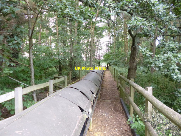 Photo 6"x4" Somerley Park, conveyor Ellingham\/SU1408 c2013