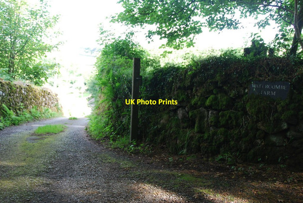 Photo 6"x4" Entrance to Watercombe Farm Torr\/SX6160 c2013