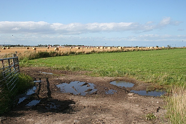 Photo 6"x4" Bales by Buckie Buckie\/NJ4165 c2008