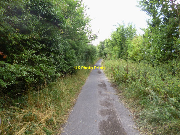 Photo 6"x4" Winchester, Easton Lane Winchester c2013