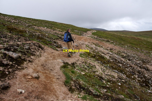 Photo 6"x4" Eroded path on the south side of Cairn Lochan Cairn Lochan c2013