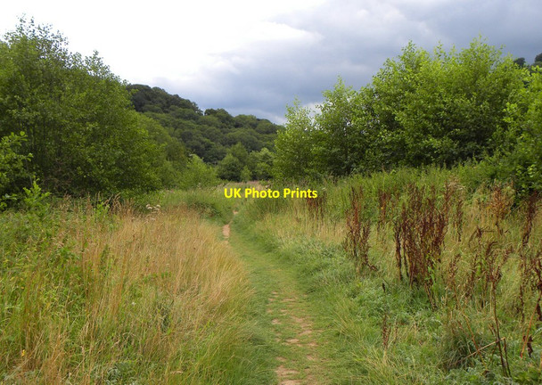Photo 6"x4" Footpath by the Wye Great Doward c2013