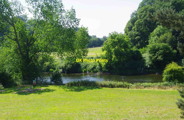 Photo 6"x4" River Severn in Summer, near Trimpley Reservoir, Worcs Holbeache c2013