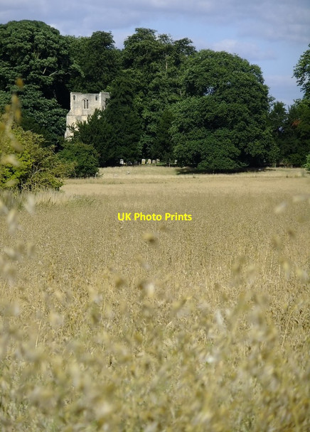 Photo 6"x4" Thundridge Old Church seen across a field of oats High Cross\/TL3618 c2013