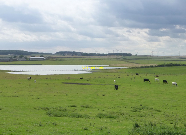 Photo 6"x4" Cresswell Pond Cresswell\/NZ2993 c2013