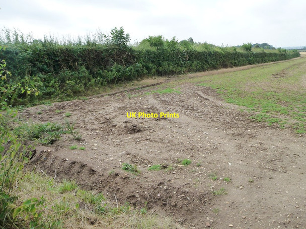Photo 6"x4" Hedged field boundary West Ashby c2013