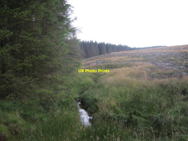 Photo 6"x4" Dry Sike, Spadeadam Forest Dry Sike c2013
