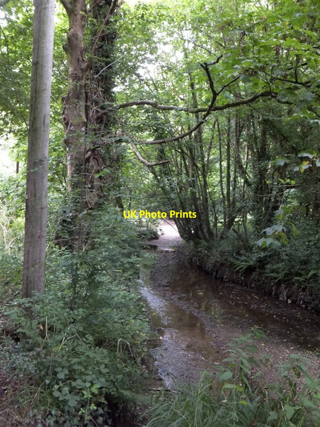 Photo 6"x4" Former ford in Hallowell Wood Lopwell c2013