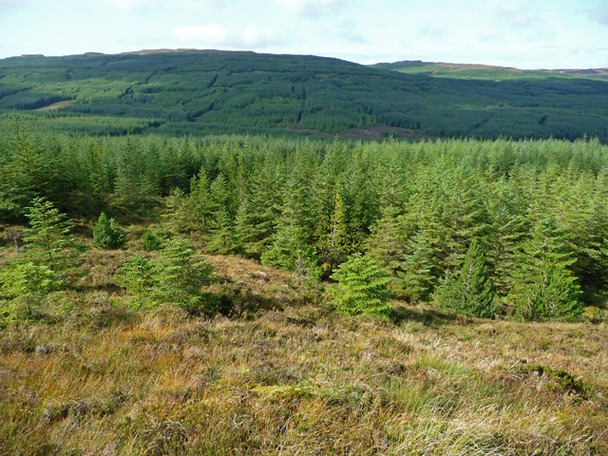 Photo 6"x4" Druim na Criche Mugeary c2008