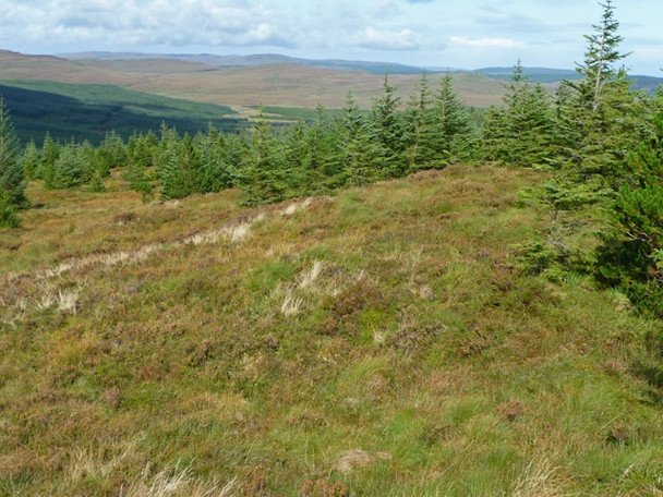 Photo 6"x4" Druim na Criche Mugeary c2008 P1